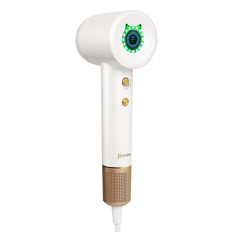 High Speed Hair Dryer ZCY-885 OUEST