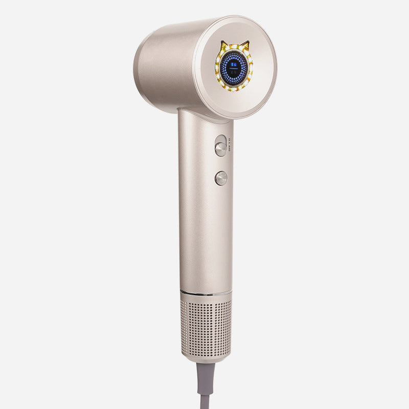 High Speed Hair Dryer ZCY-885 OUEST